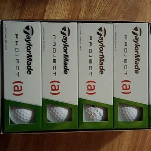 TaylorMade Project (a)
